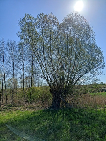 Działka Sprzedaż Kamionek 2