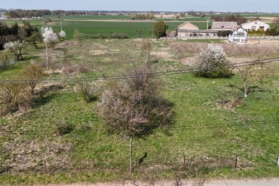 Działka w Dziekanowicach 4900 m² nad j. Lednickim, zdjęcie 2