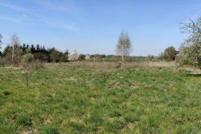 Działka w Dziekanowicach 4900 m² nad j. Lednickim, zdjęcie 6
