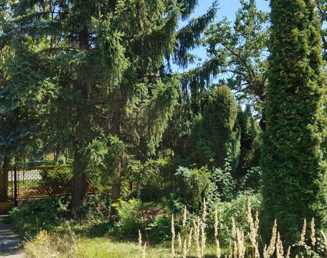 Prestiżowa lokalizacja – Cytadela – Inwestycja
