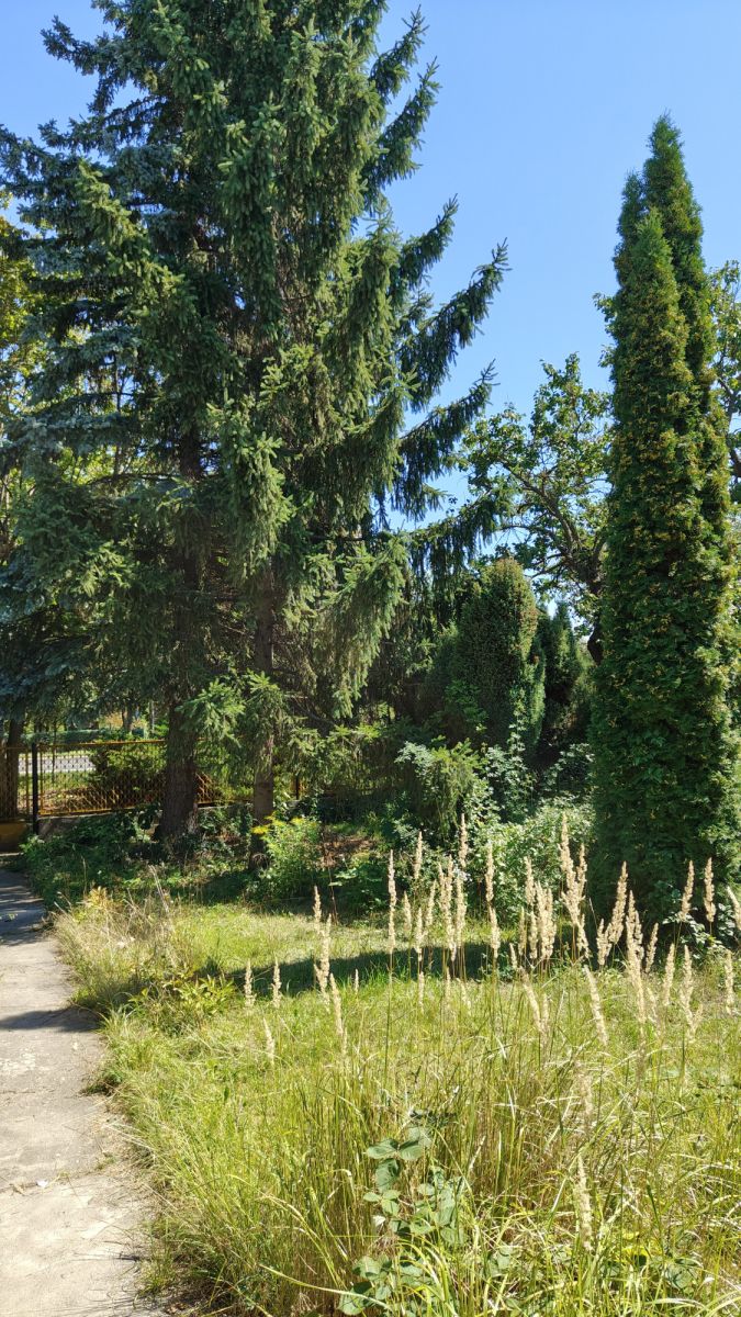 Prestiżowa lokalizacja - Cytadela - Inwestycja, zdjęcie 4