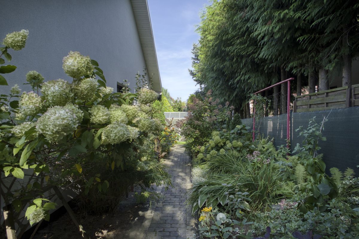 Dom całoroczny nad j.Wonieskim | Nowy Dębiec|75m², zdjęcie 13